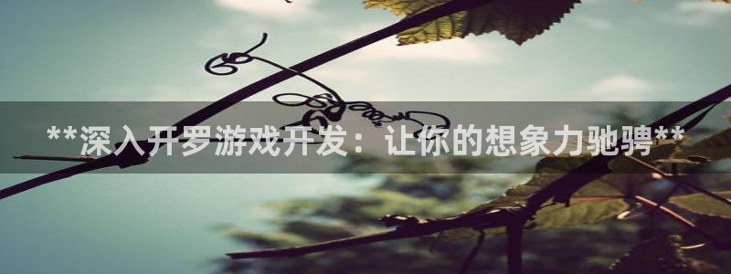 沐鸣娱乐2输钱了