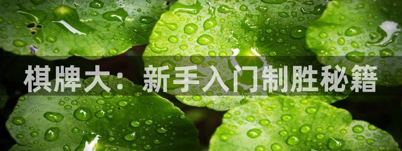 沐鸣2注册平台