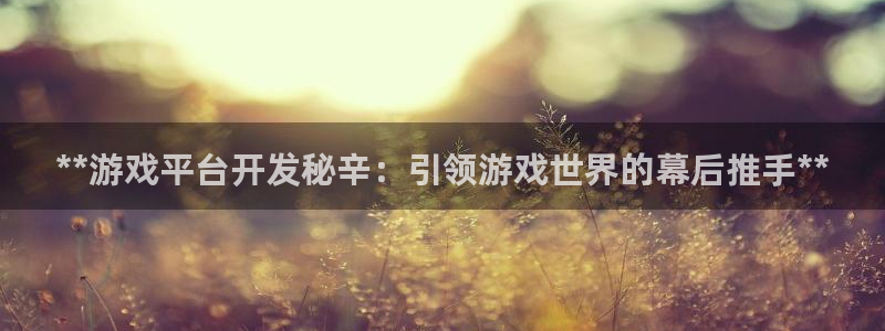沐鸣2平台代理