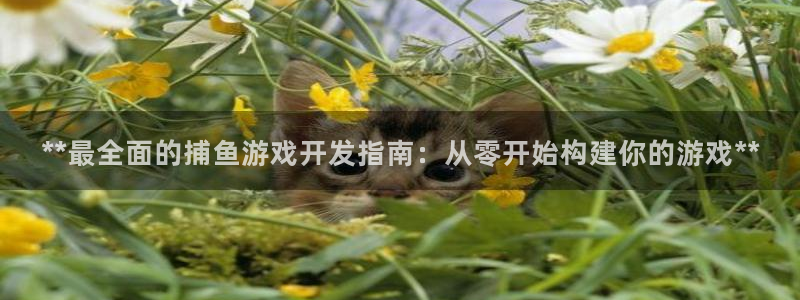 沐鸣2平台官网登录
