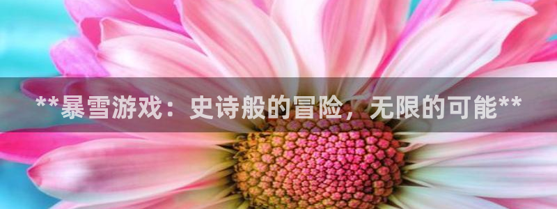 沐鸣2官网网址