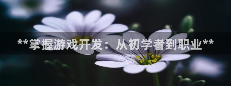 沐鸣2官网 5O6917