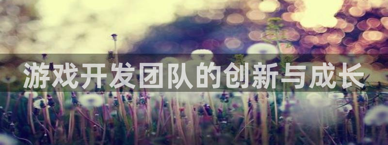沐鸣娱乐2是正规平台么吗：游戏开发团队的创新与成长