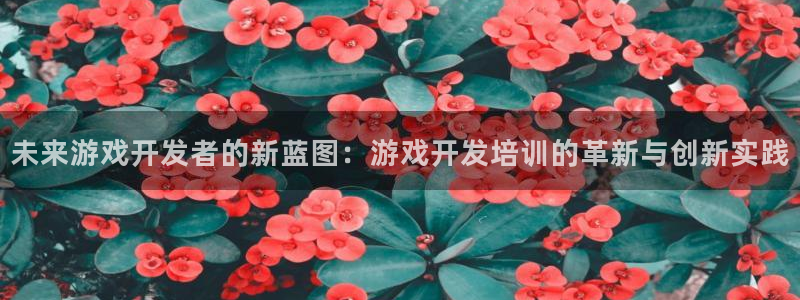沐鸣娱乐2手机下载官网：未来游戏开发者的新蓝图：游戏开发培训的革新与创新实践
