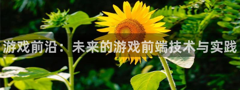 沐鸣娱乐2登陆不上怎么办：游戏前沿：未来的游戏前端技术与实践
