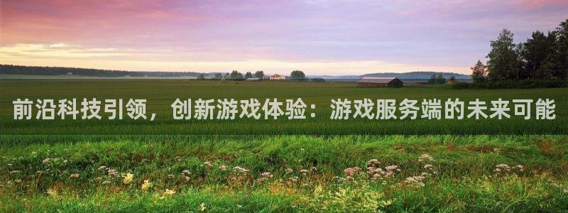 沐鸣2代理官网：前沿科技引领，创新游戏体验：游戏服务端的未来可能