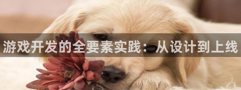 沐鸣2注册开户：游戏开发的全要素实践：从设计到上线