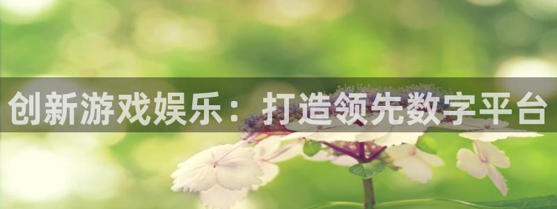 沐鸣2代理注册：创新游戏娱乐：打造领先数字平台