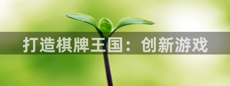 沐鸣2手机网页版：打造棋牌王国：创新游戏